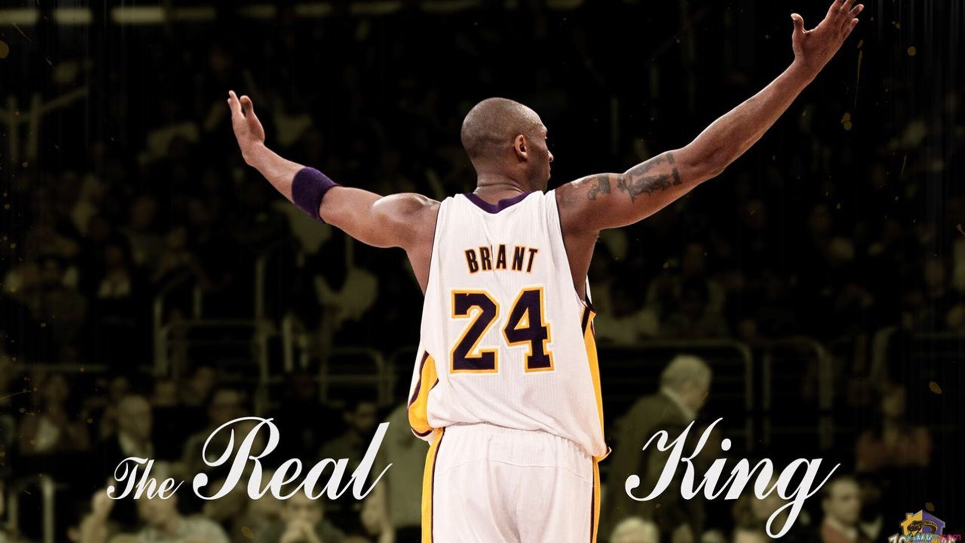 基基接班丁丁?,基基是啥